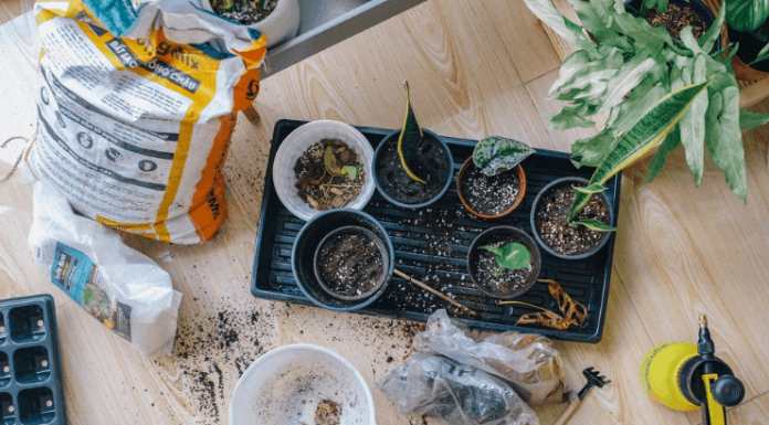 Save Time and Money With These Incredible Garden Hacks